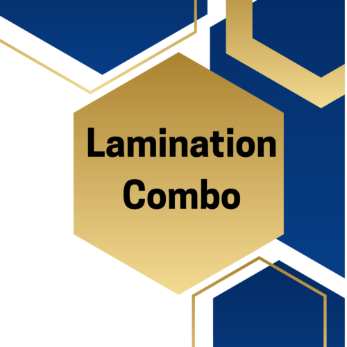 Brow & Lash Lamination | 1 Day