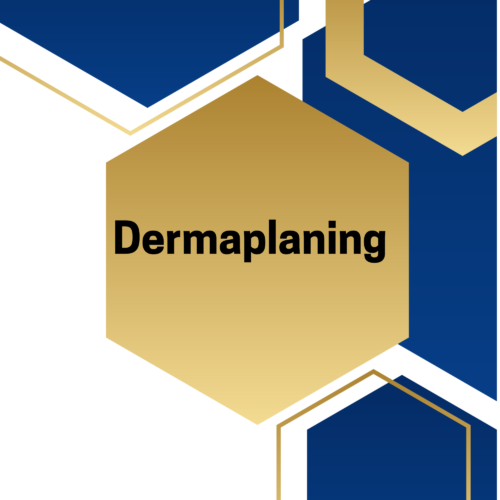 Dermaplaning 1 Day Training