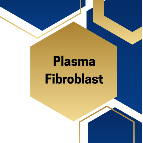 Plasma Fibroblast - 2 Day Course