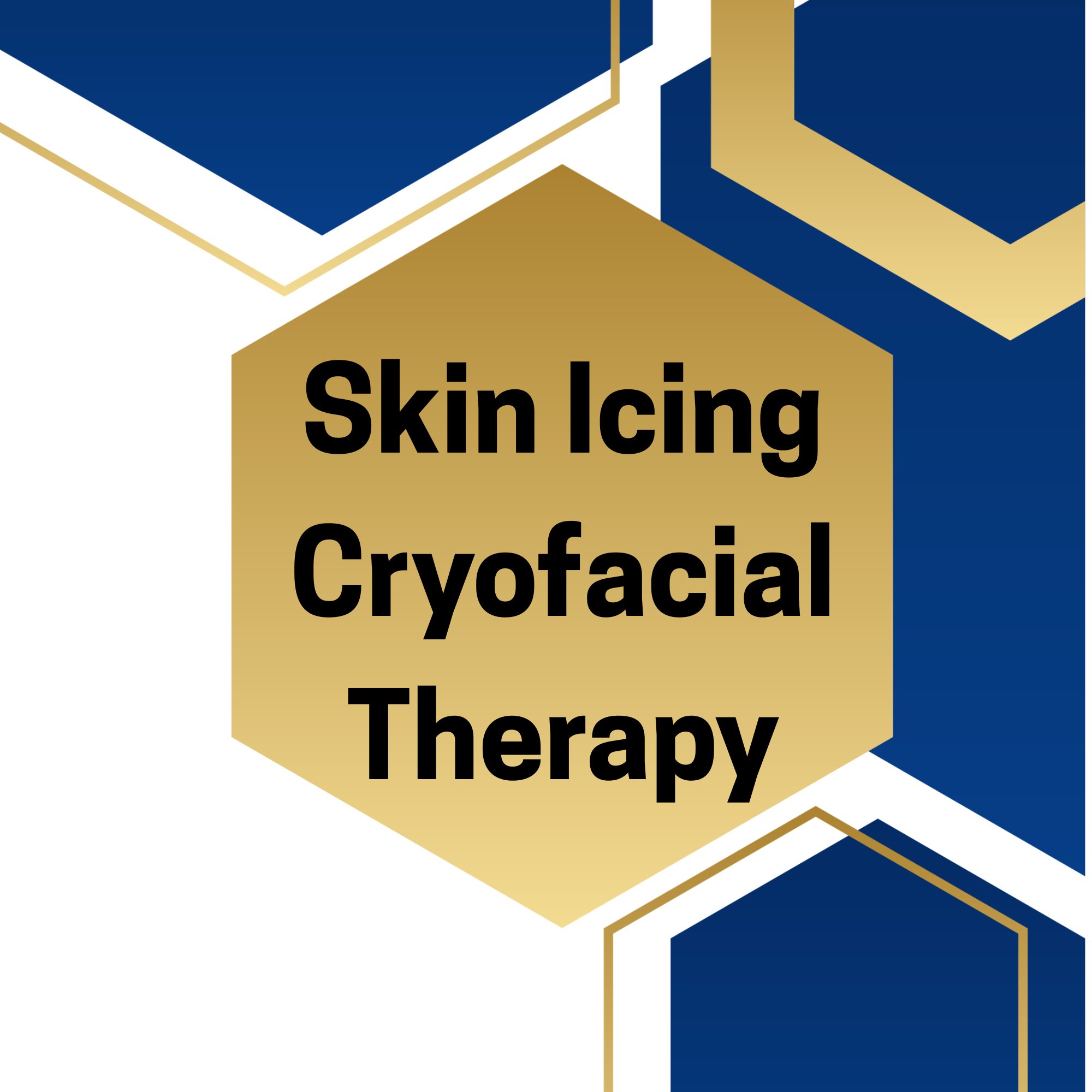 Skin Icing Guide