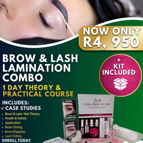 Brow & Lash Lamination | 1 Day